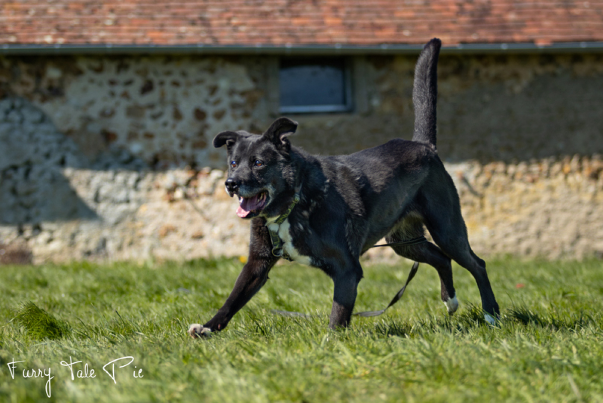 Photo #1 de Popeye g