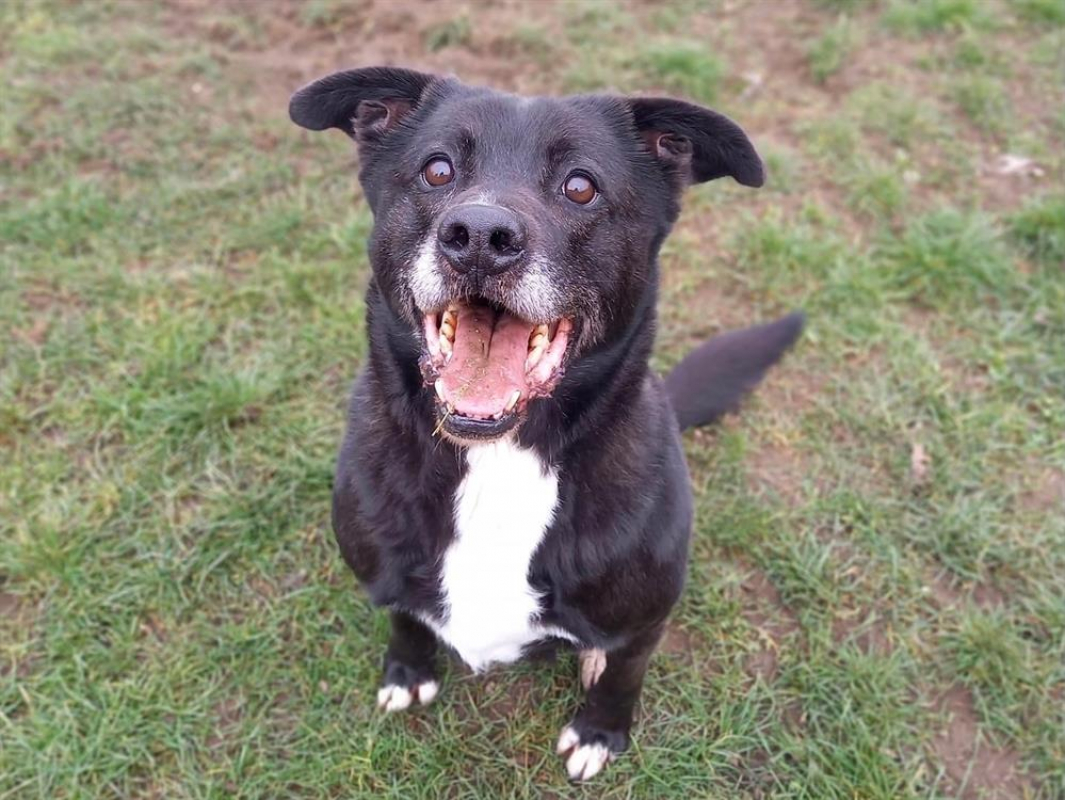 Photo #1 de Popeye g