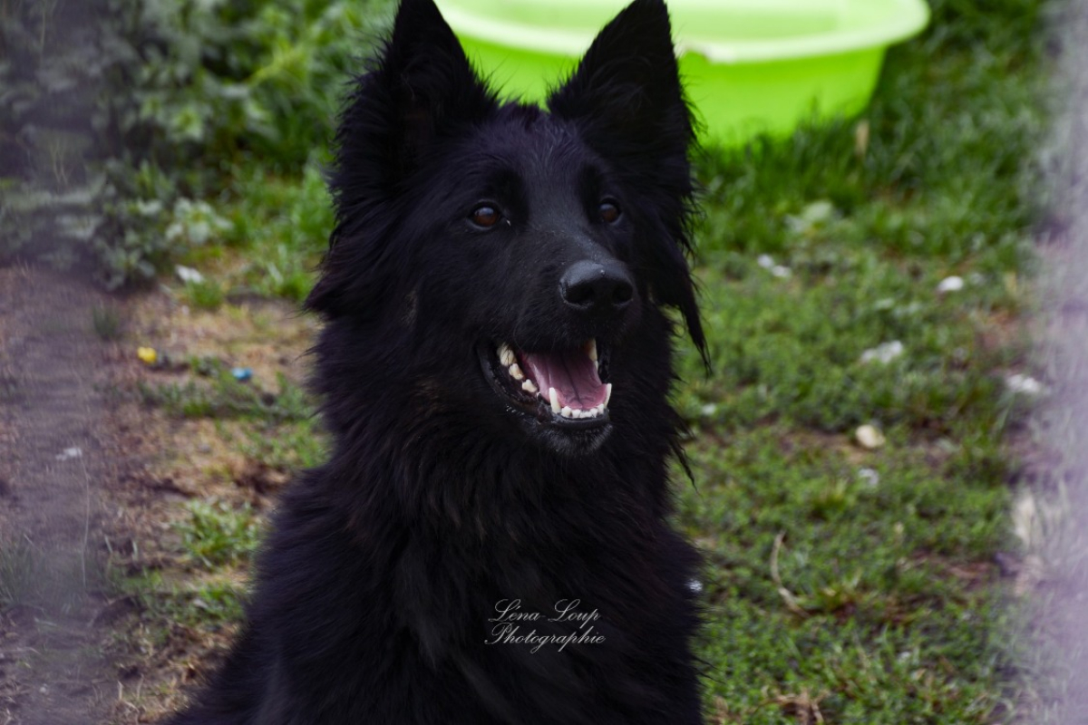 Photo #6 de Kaylhi