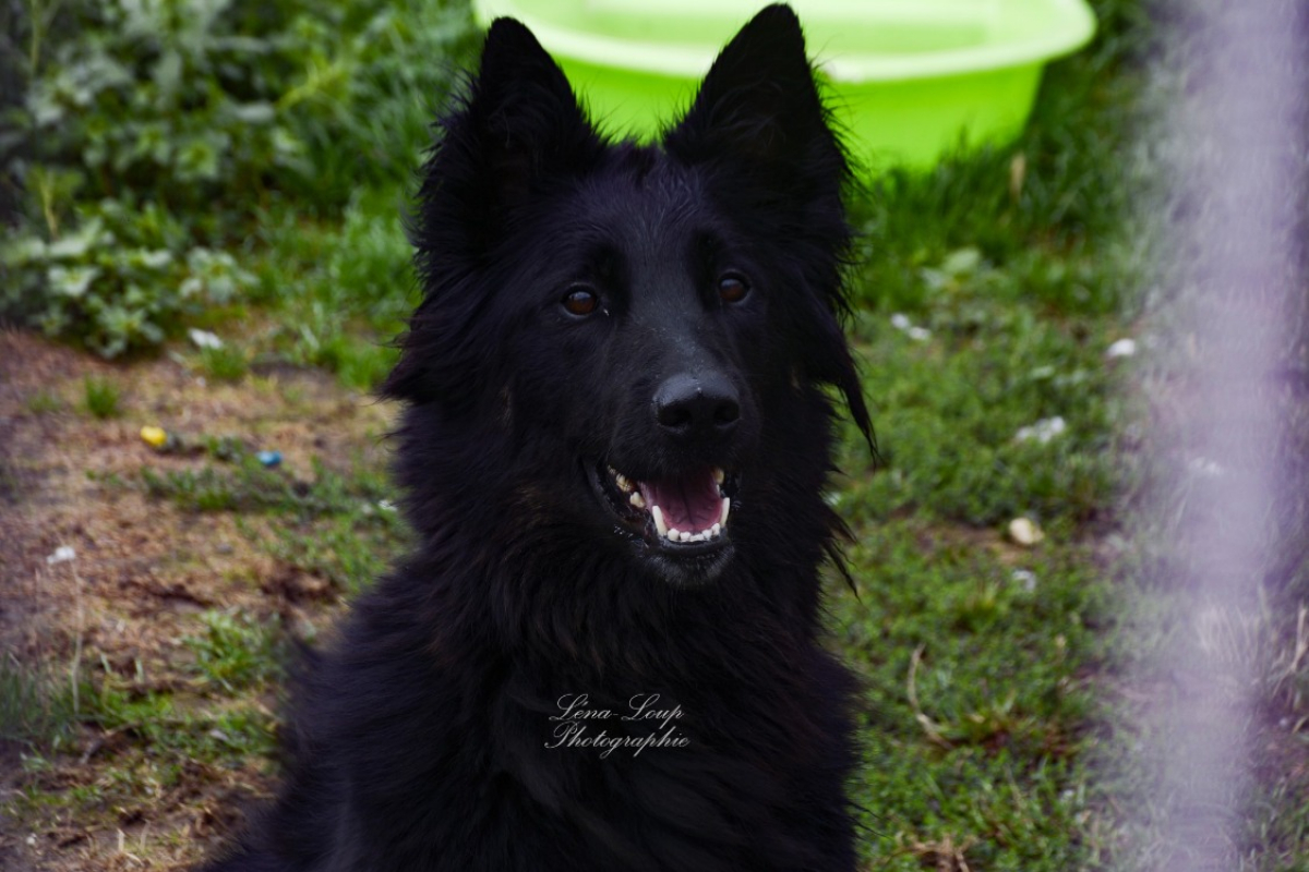 Photo #11 de Kaylhi