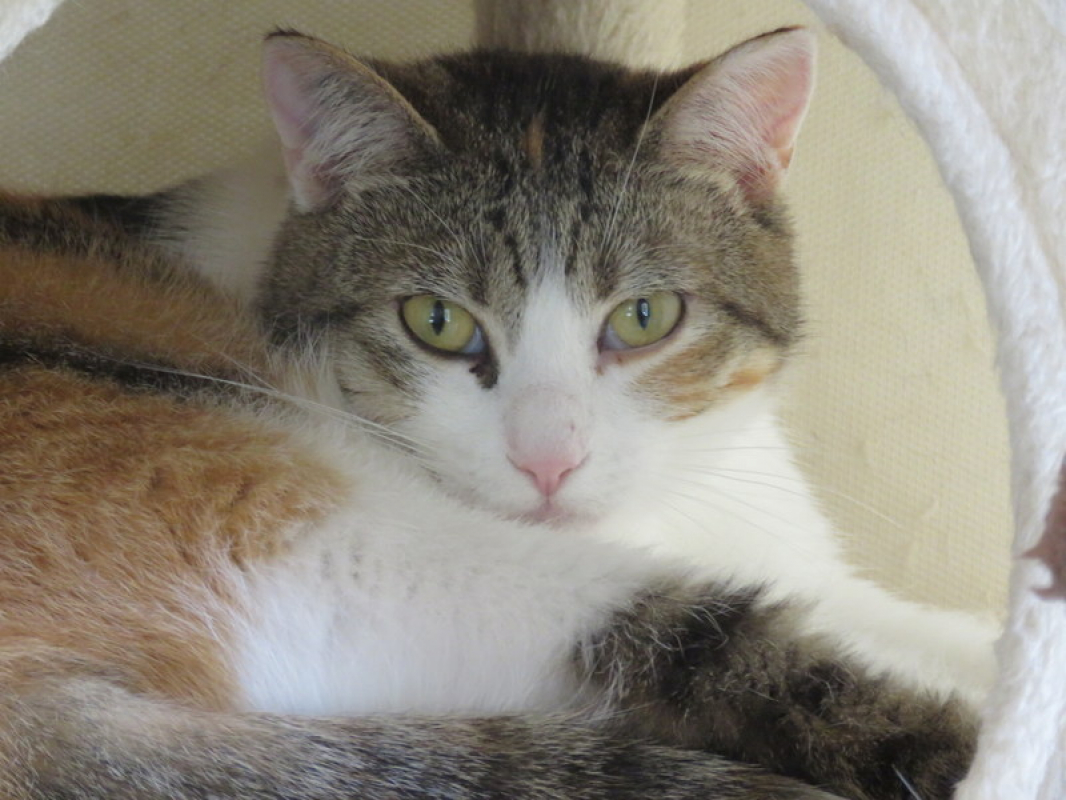 Photo #1 de Floralie