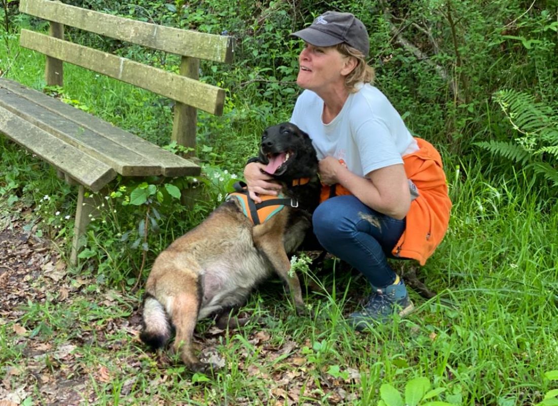 Nina - Chien Berger Belge Malinois à adopter - photo 3