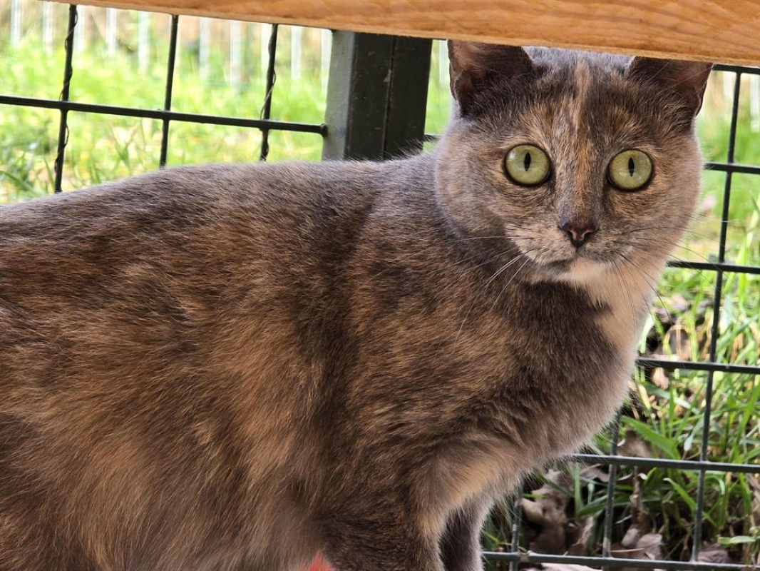 Photo de Gourmandise