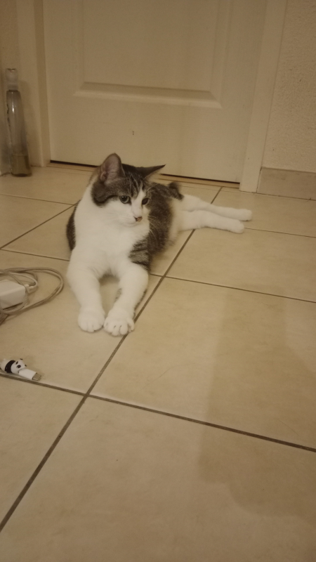 Photo #1 de Pepsi 