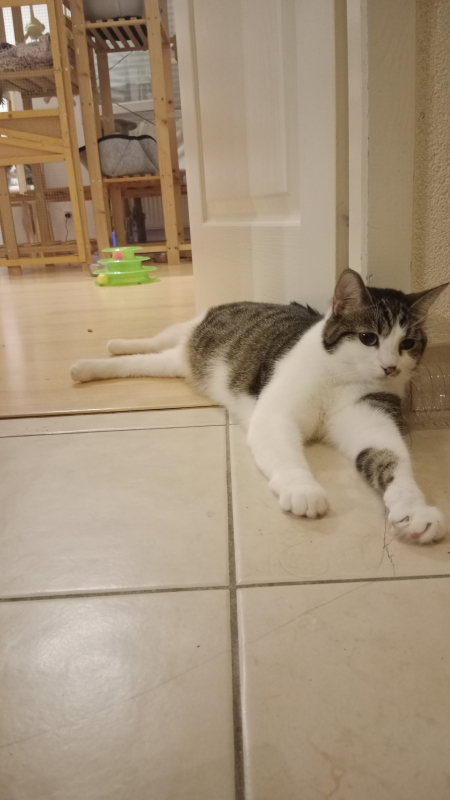 Photo #2 de Pepsi 