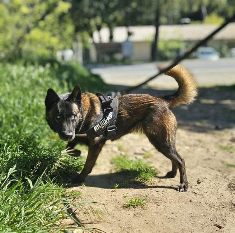 Photo #5 de Bougnette