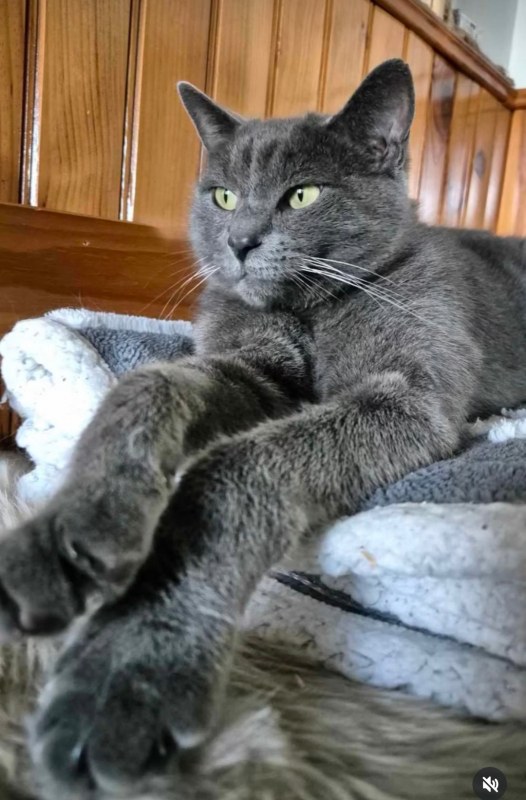 Photo de Milo 