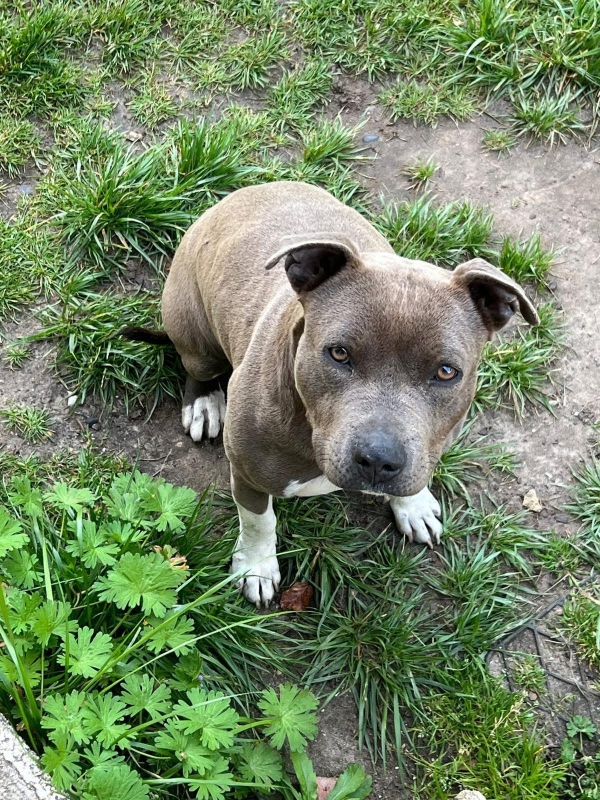 Photo #1 de NALA