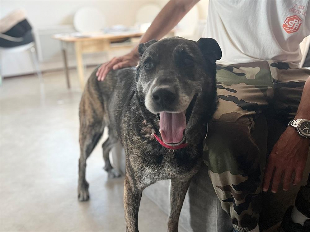 Photo #2 de Cartouche