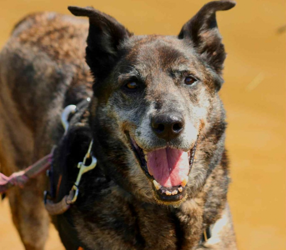 Photo #3 de Cartouche