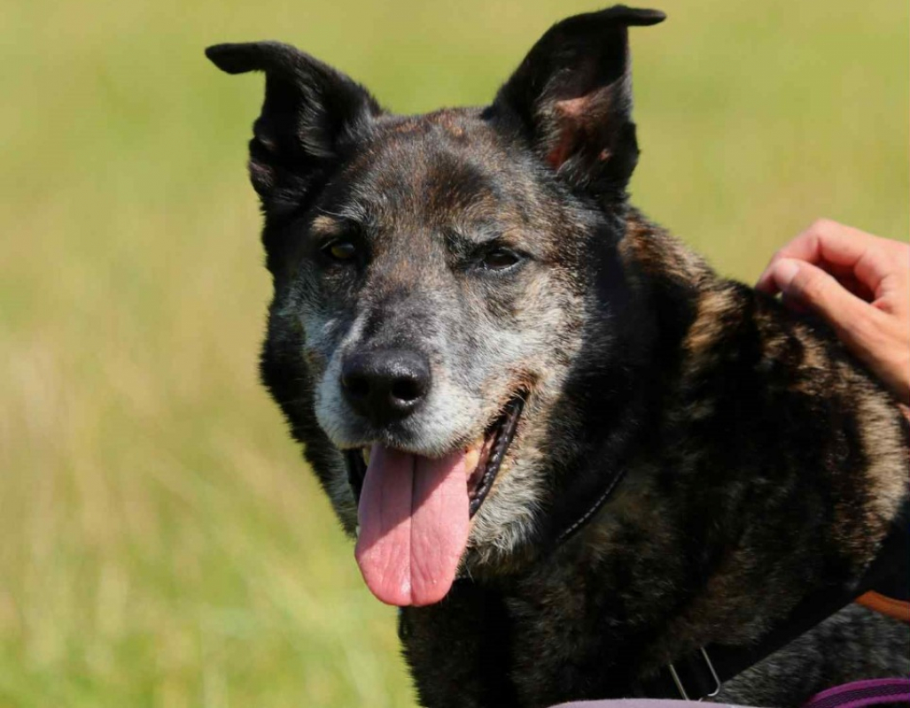 Photo #4 de Cartouche