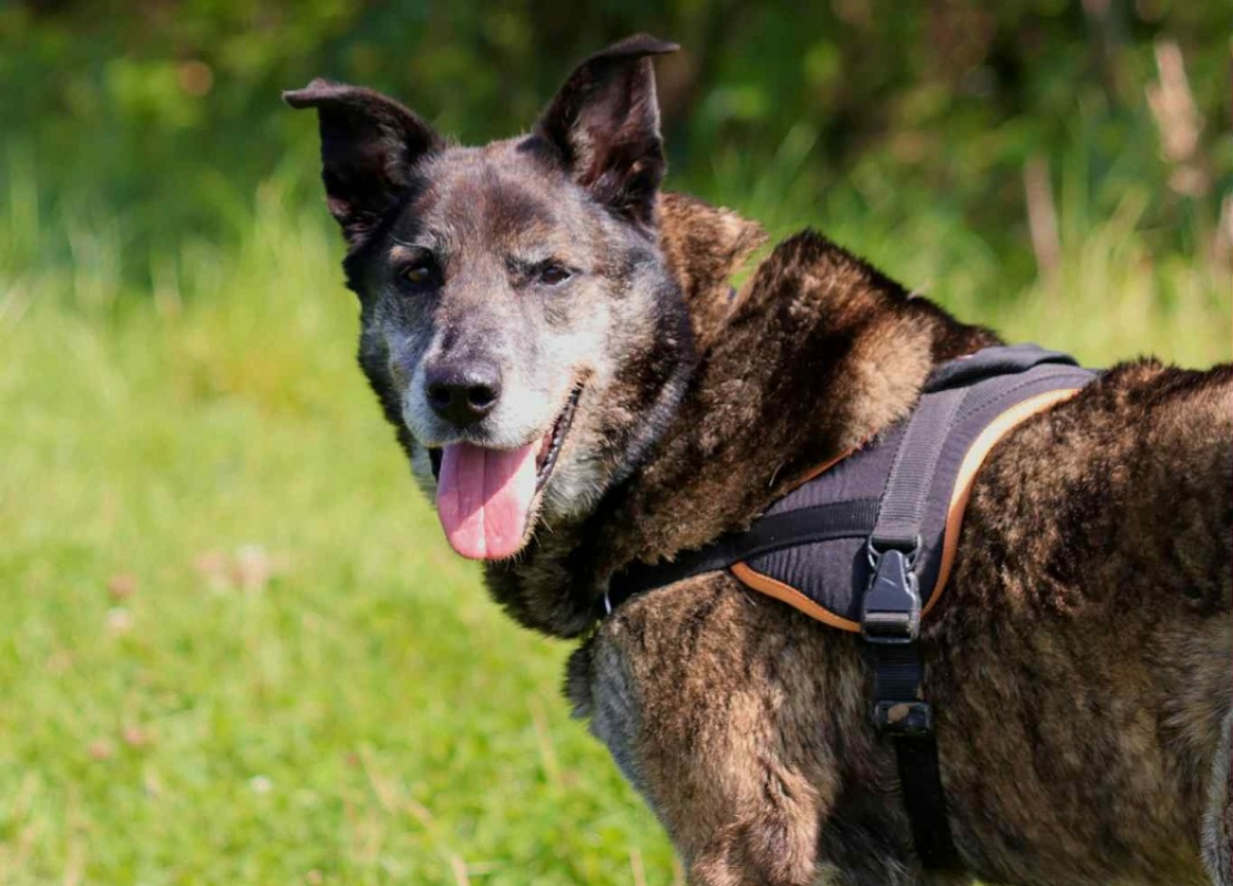 Photo #1 de Cartouche