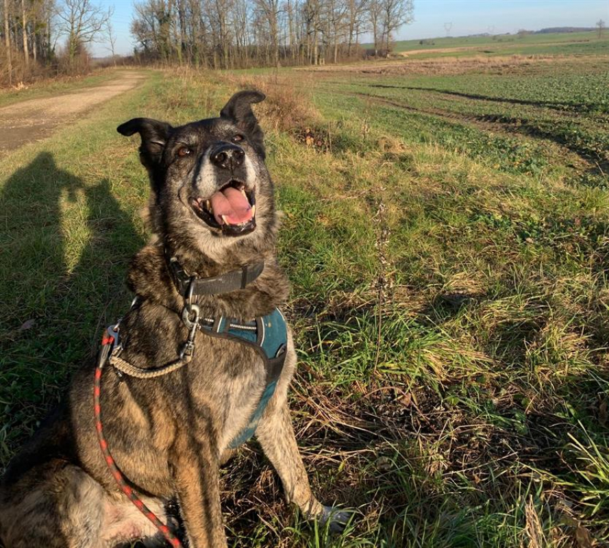 Photo #6 de Cartouche