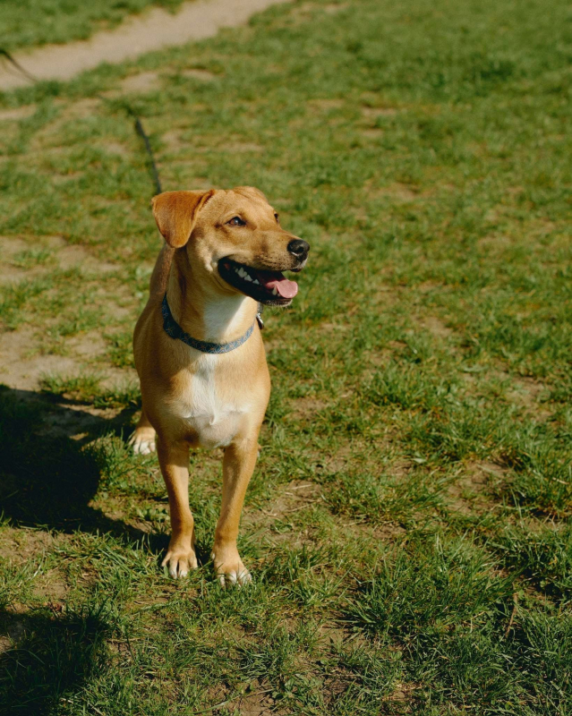 Photo #5 de SPARK