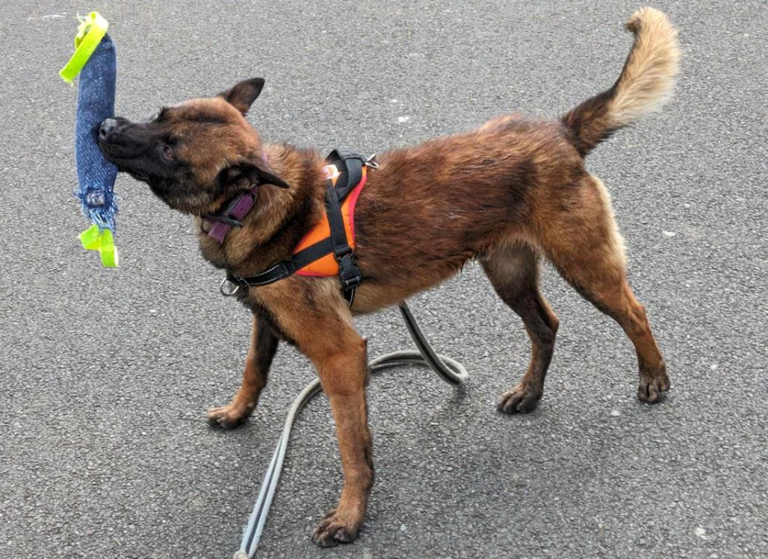 Photo #7 de Nopatchai