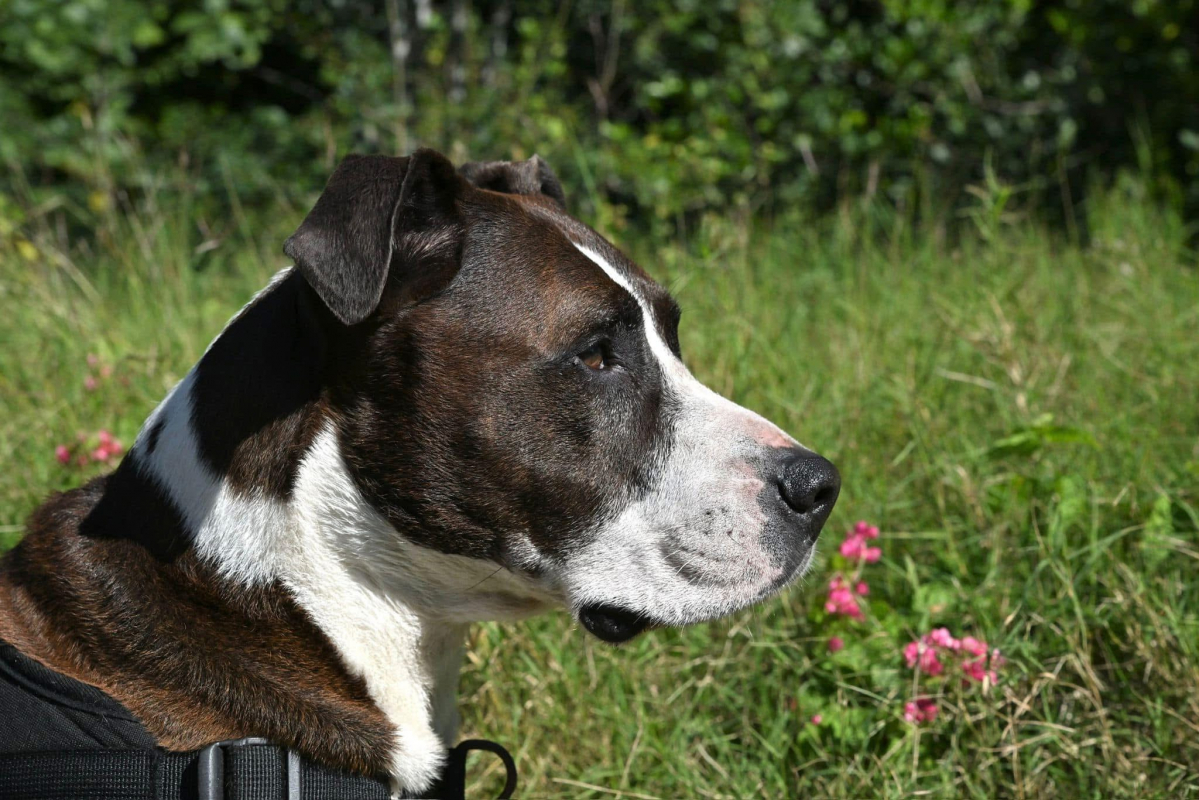Photo #6 de LOCKY