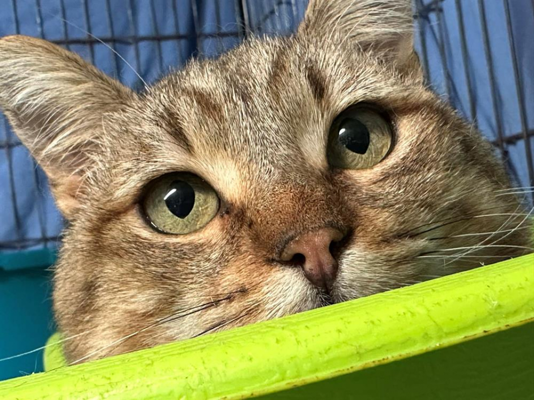 Photo #1 de Vancouver