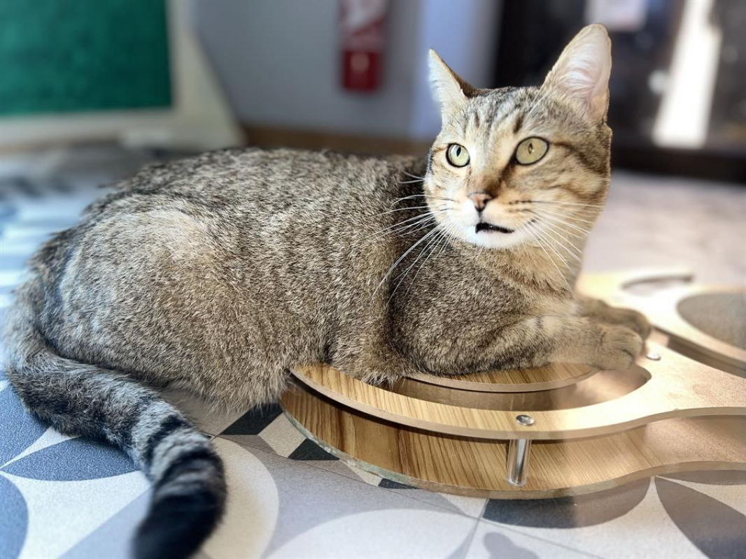 Photo #2 de Vancouver