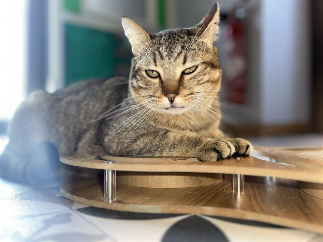 Photo #3 de Vancouver