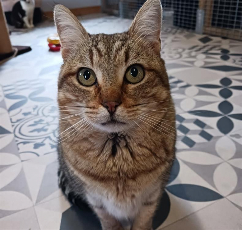 Photo #5 de Vancouver