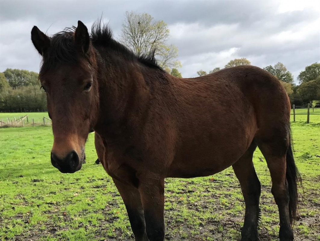 Photo #1 de Neereyne