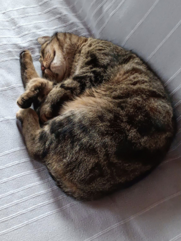 Photo #3 de Mimi