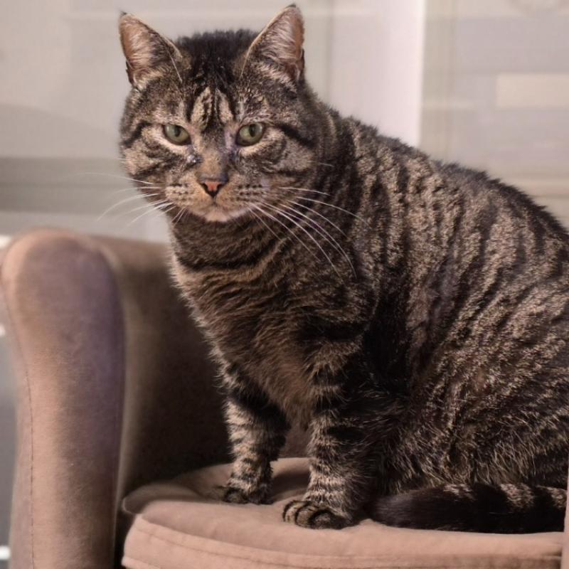 Photo #1 de Zanzibar