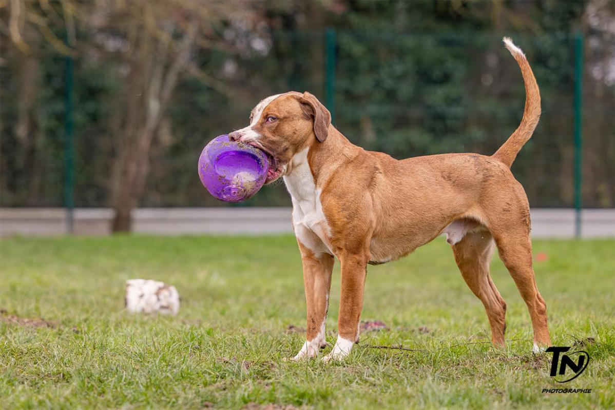 Photo #9 de Mac queen