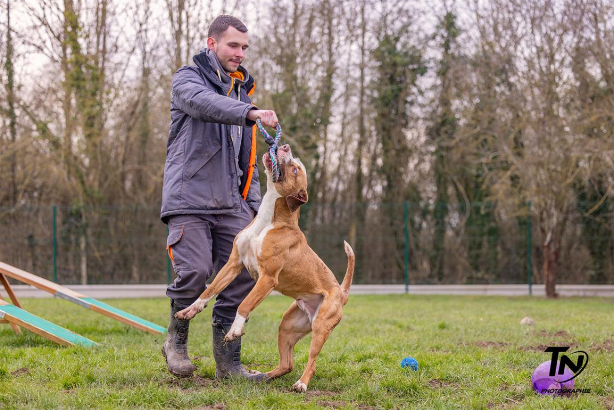 Photo #10 de Mac queen