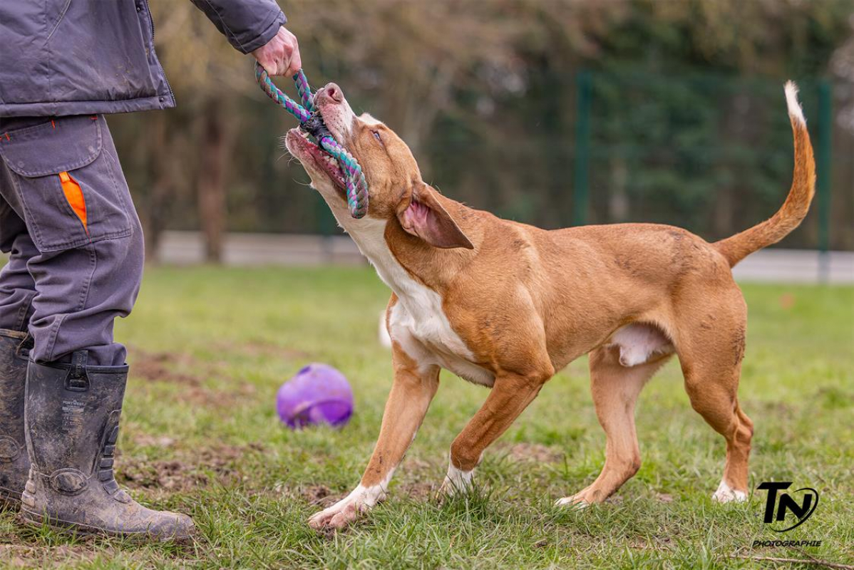 Photo #11 de Mac queen