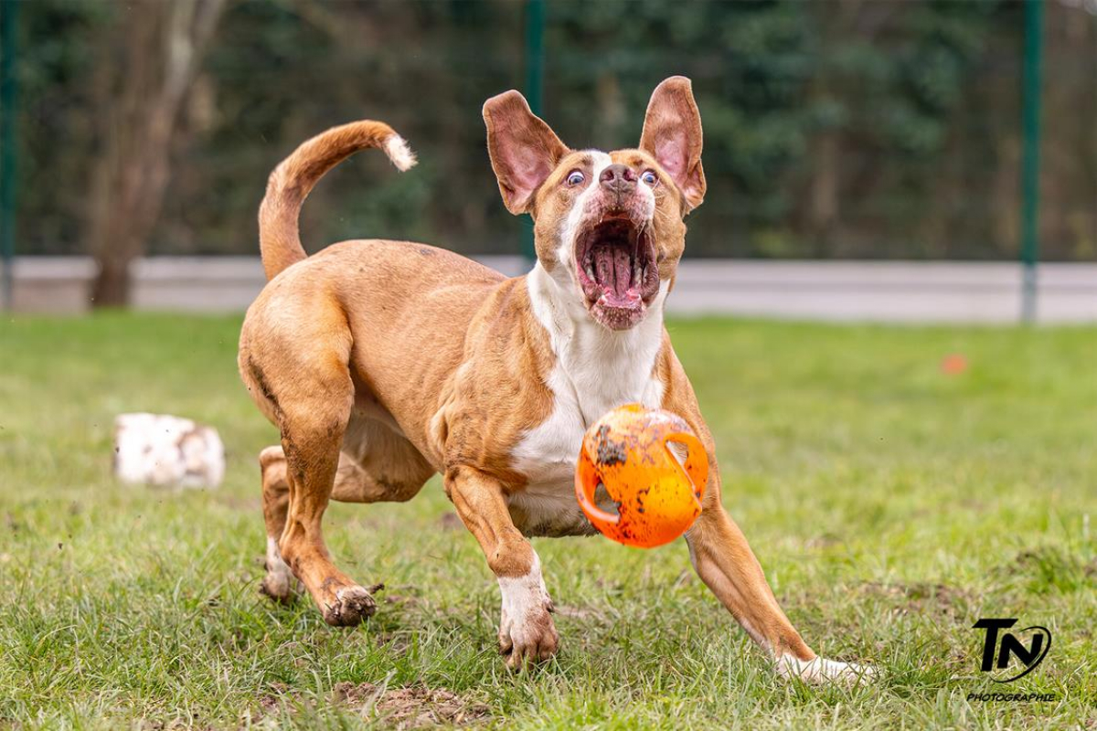 Photo #12 de Mac queen