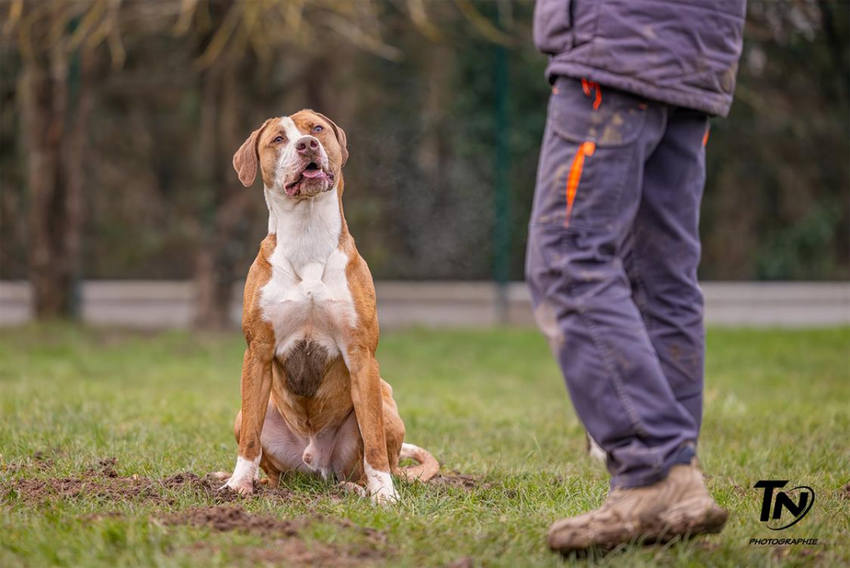 Photo #13 de Mac queen