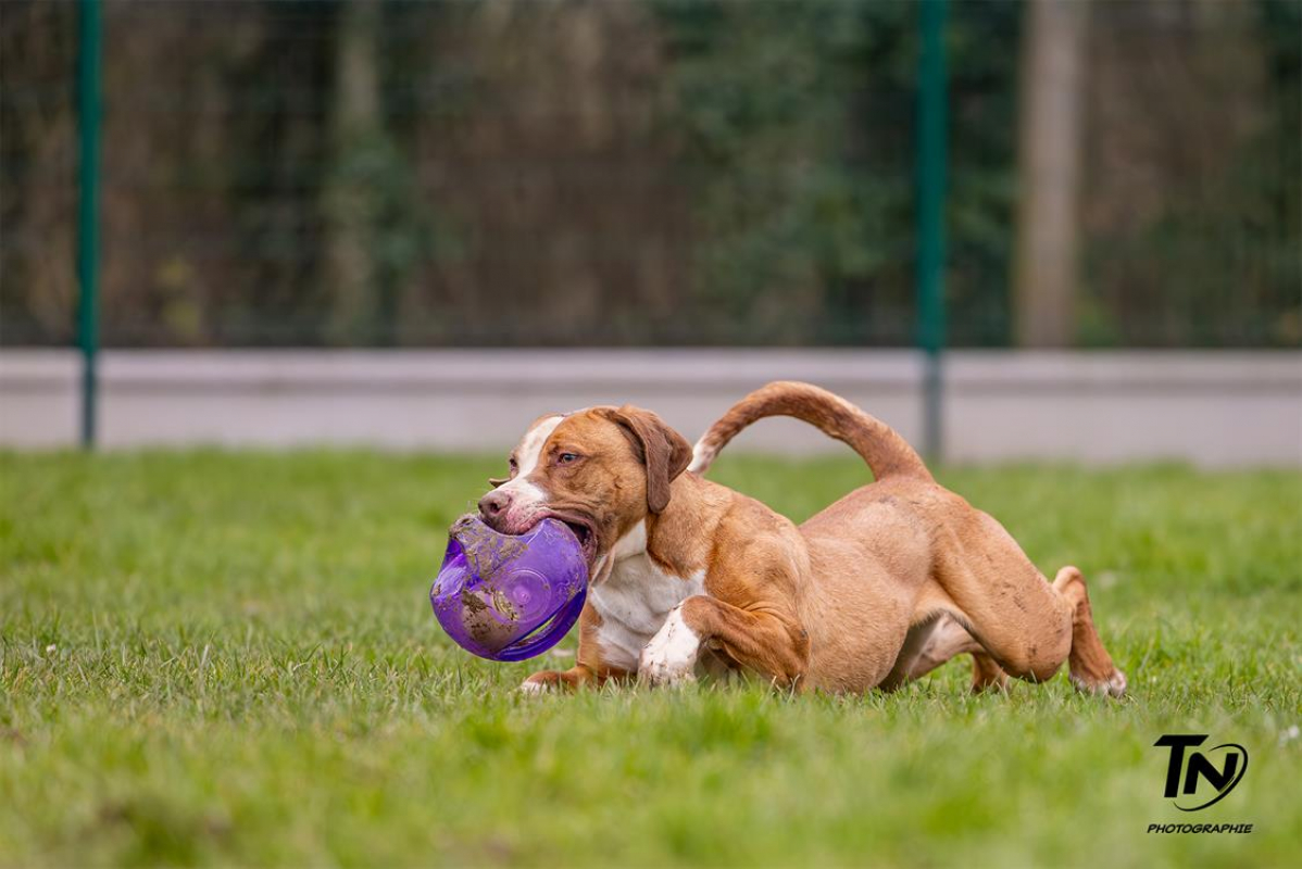 Photo #15 de Mac queen