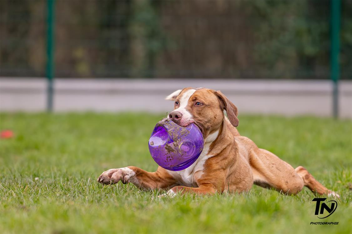 Photo #16 de Mac queen