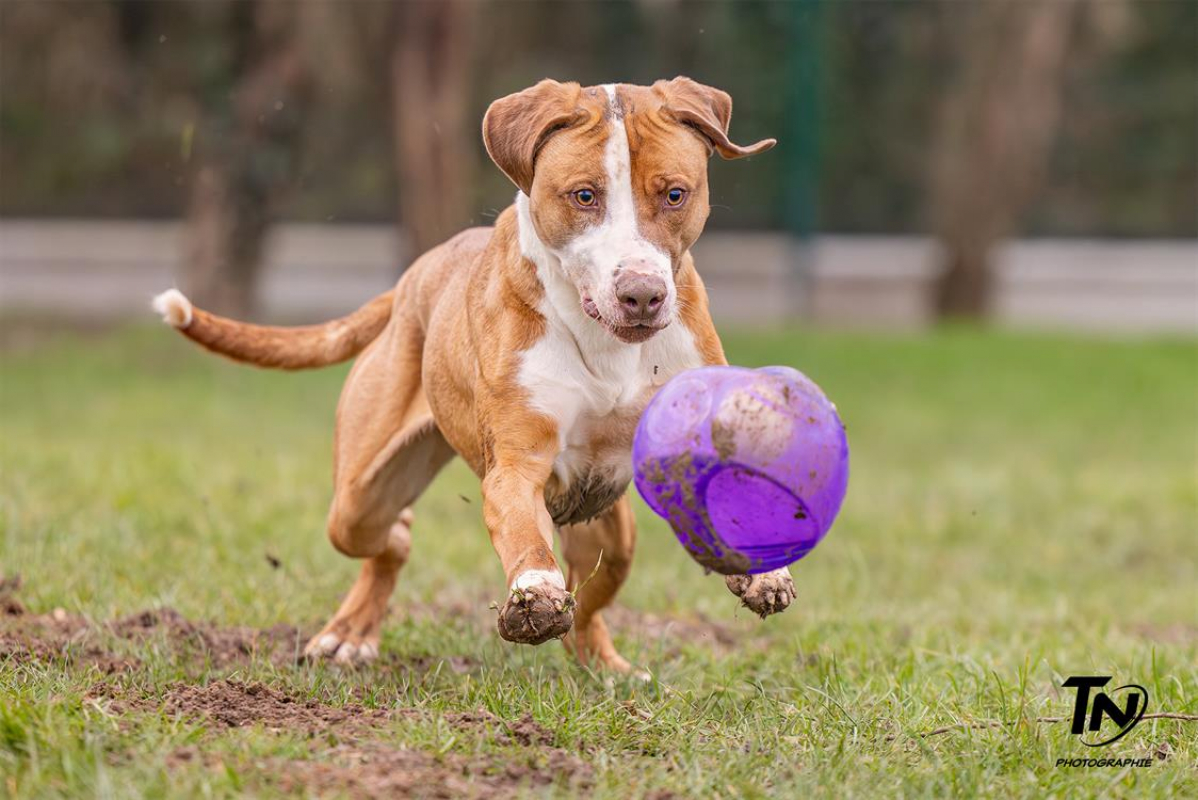 Photo #18 de Mac queen