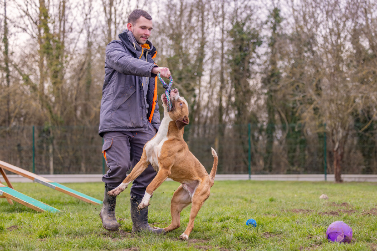 Photo #4 de Mac queen