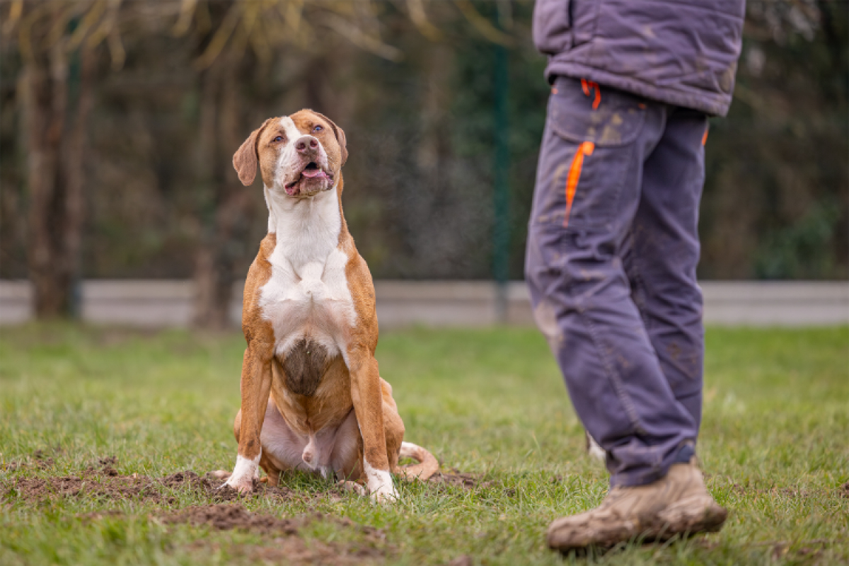 Photo #10 de Mac queen