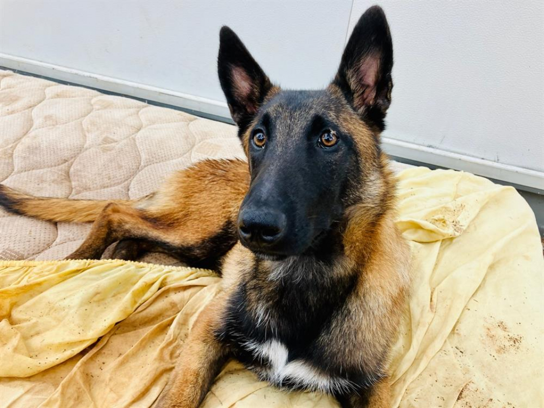 Photo #1 de Christian