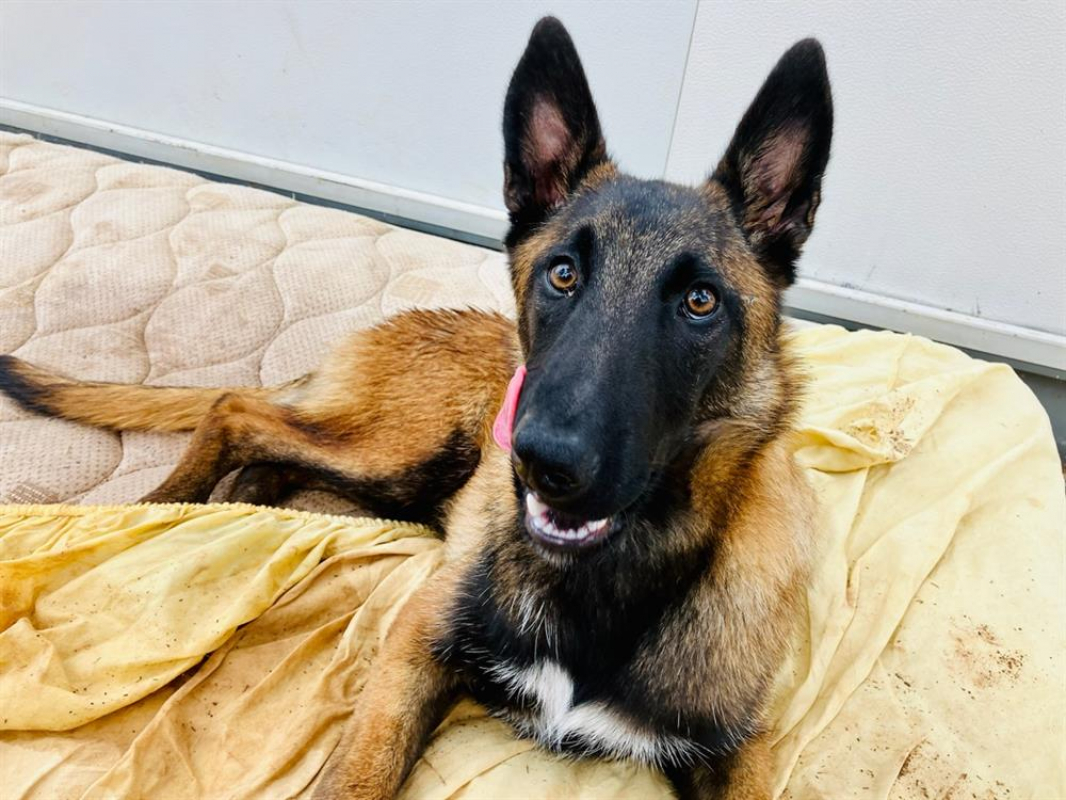 Photo #2 de Christian