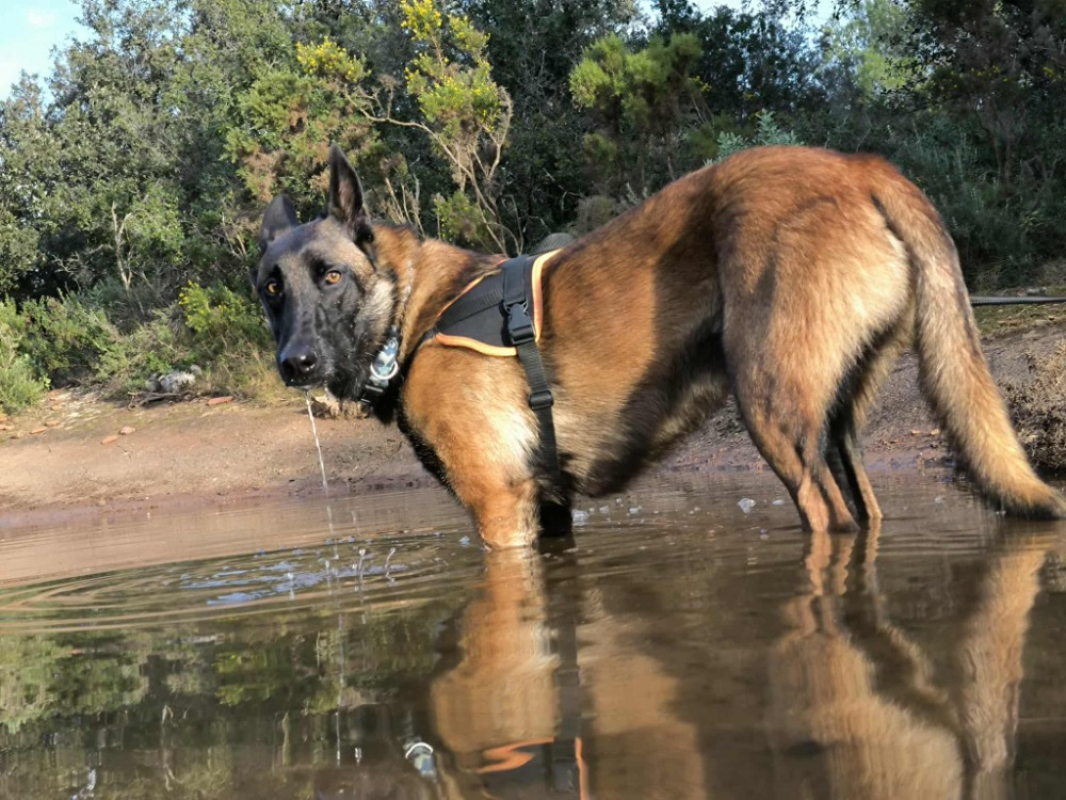 Photo #1 de Christian