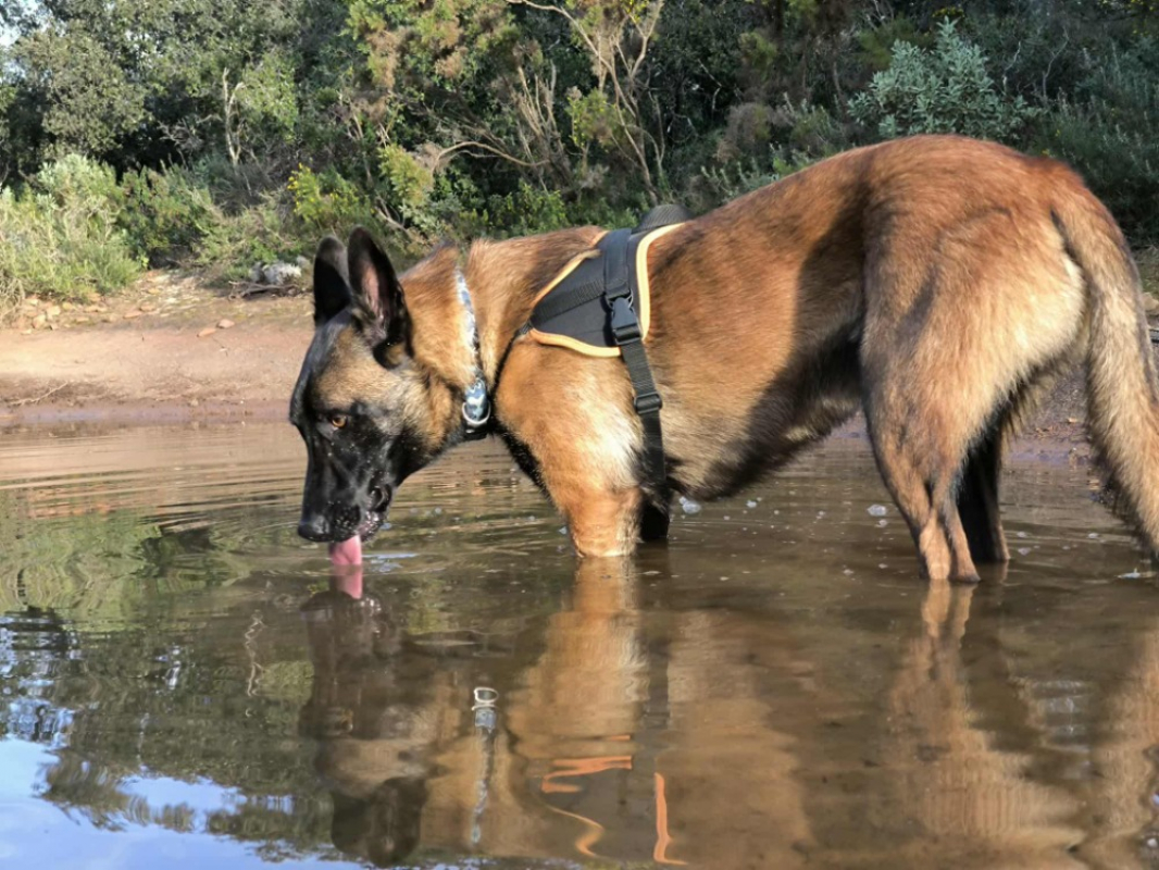 Photo #2 de Christian