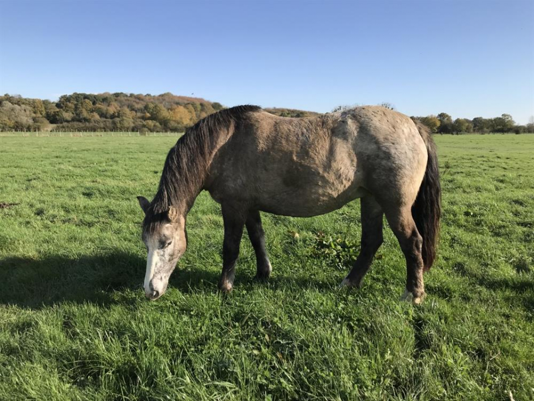 Photo de Rolynnbelle