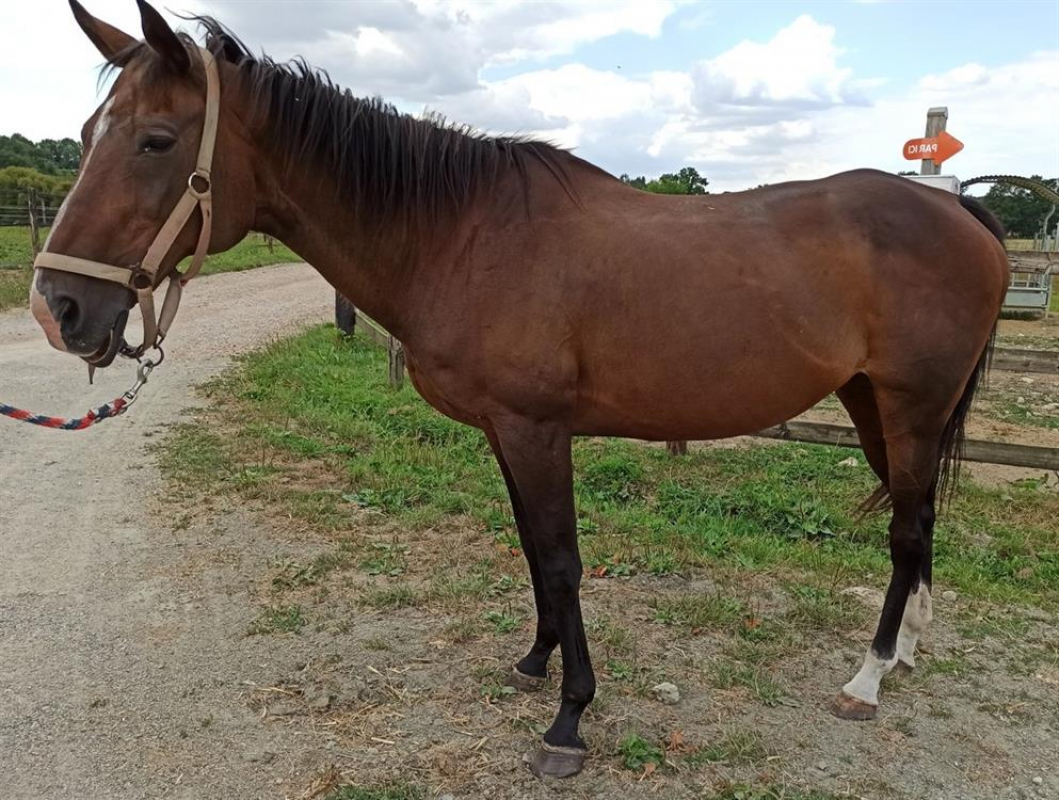 Photo de Music in blue