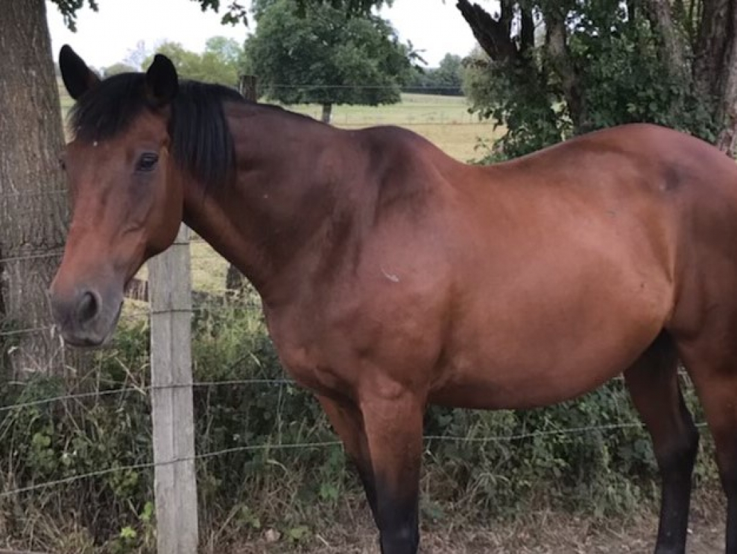 Photo de Dark appeal