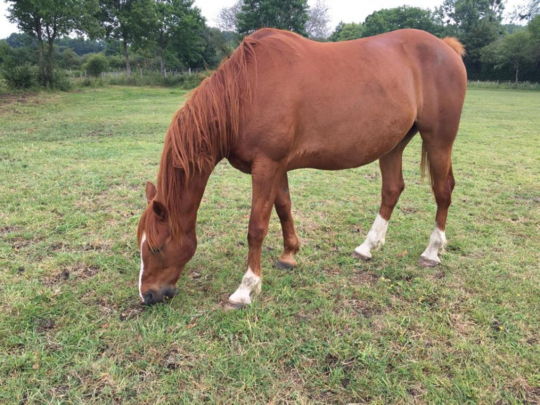 Photo de Uzo nonentais