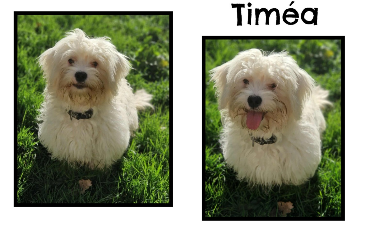 Photo de Timea réservé