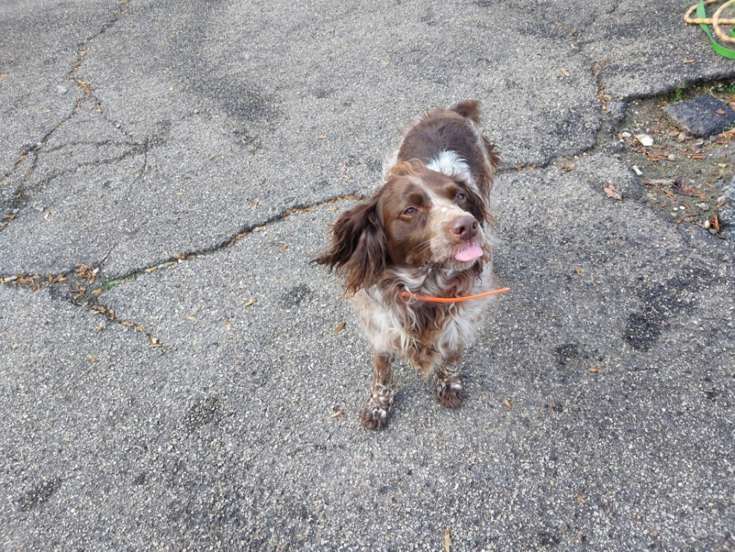 Photo #1 de Pockette