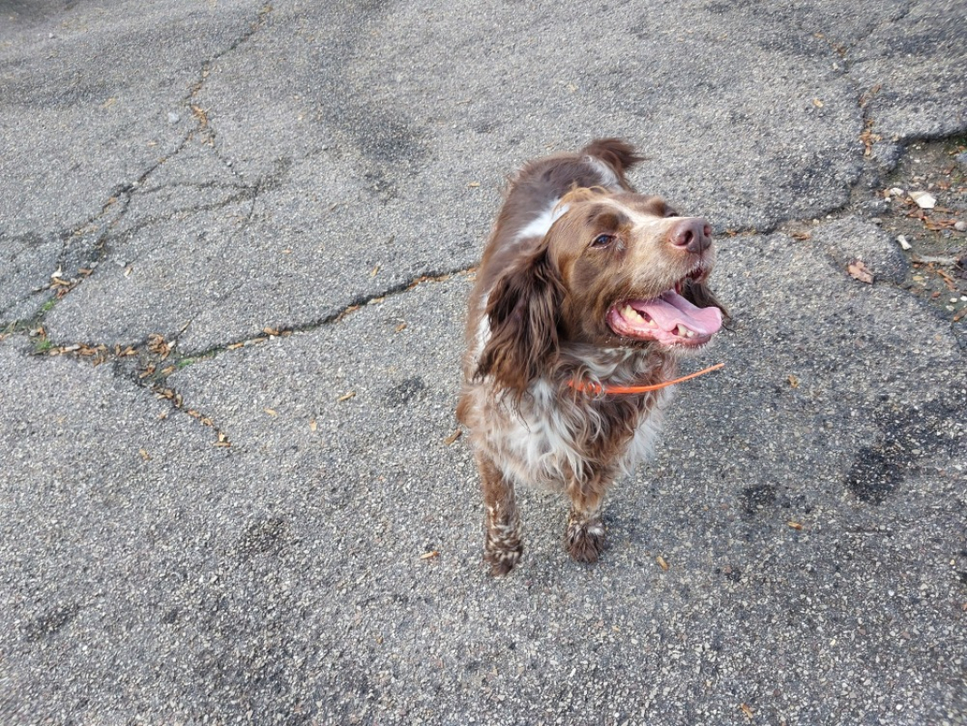 Photo #2 de Pockette