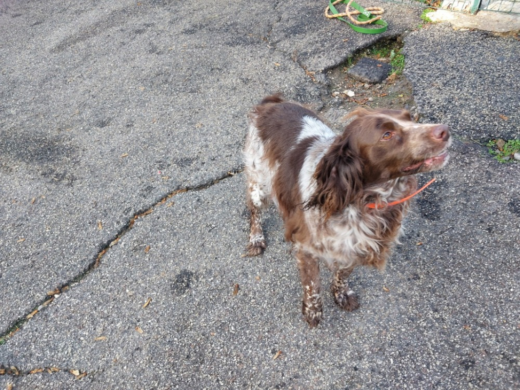 Photo #3 de Pockette