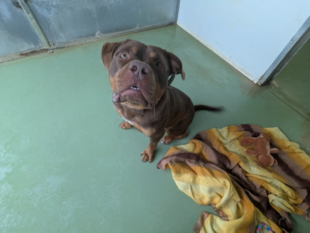 Photo #1 de Darkness